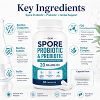Capsules de Probiotiques et Prébiotiques Clean Label Vegan Sans OGM Formule Stable pour la Santé Intestinale et le Soutien Quotidien au Bien-être