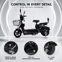 Vélo électrique Godel Eagle 350W, scooter, vélo de ville 48V avec batterie 12Ah 20Ah, panier avant et double siège