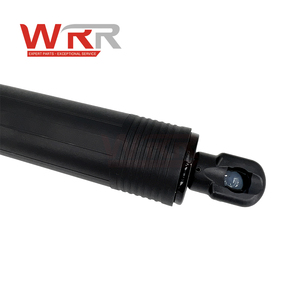 51247434042 51247294588 Amortiguador Eléctrico para Portón Trasero BMW F16 X6, Soporte de Elevación de Maletero Eléctrico Suave, Piezas Premium - Product Image 6