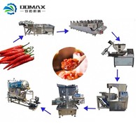 Machine voor het maken van peperpasta met grote capaciteit, productielijn voor chilipeperpuree, machine voor het maken van chilisaus