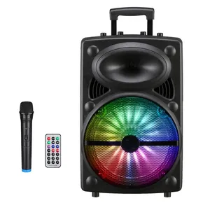 Lt-1203 China Fabrik profession elle HI-FI Stereo Deep Bass Bluetooth Outdoor Trolley Lautsprecher 12 Zoll Karaoke-Lautsprecher