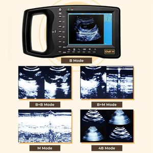 Appareil d'échographie vétérinaire portable pour animaux d'élevage, vache, cheval, dispositif de diagnostic de gestation, appareil d'échographie vétérinaire DVK40 - Product Image 4