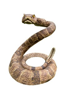 Statua Artigianale Cinese di Serpente a Sonagli, Modello di Pitone Selvatico per Decorazione Casa o Regalo di Natale, Scultura di Serpente - Product Image 3