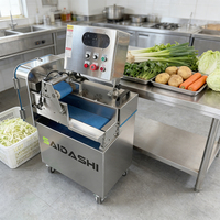 SAIDASHI Eco-vriendelijke multifunctionele snijband voor groenten, 380V/110V/440V/220V, voor gebruik in drankenfabrieken