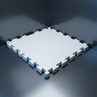 Tuiles de patinage sur glace synthétique, mini-rink de hockey gonflable, matériau PE, service de découpe sur mesure