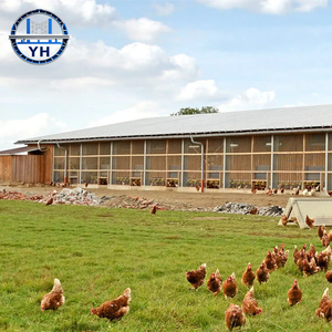 Poulailler commercial préfabriqué moderne avec structure en acier, <span class=keywords><strong>hangar</strong></span> pour poules pondeuses pour ferme avicole à <span class=keywords><strong>vendre</strong></span> - Product Image 2