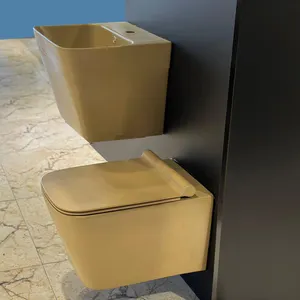 नेरोला वॉल हंग पैन डब्ल्यूसी और सिंक मोबिल टॉयलेट सिरेमिक सेनेटरी सॉफ्ट सीट के आकार का डब्ल्यूसी छुपा हुआ सिस्टर्न फ्लशिंग डब्ल्यूसी बाउल
