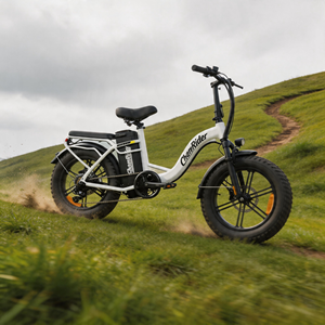 Vélo <span class=keywords><strong>cargo</strong></span> électrique Chamrider DT450, batterie grande capacité 48V50AH, pneus larges 20 pouces, frein hydraulique, vélo de banlieue électrique, stock UE - Product Image 1