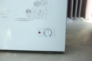 <span class=keywords><strong>Congélateur</strong></span> supérieur à économie d'énergie Réfrigérateur commercial <span class=keywords><strong>Congélateur</strong></span> électrique rapide sans gel et congélation à des fins commerciales - Product Image 4