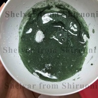 Masque facial en poudre douce à modeler, exfoliant, naturel, biologique, à base d'algues spiruline vertes, OEM DIY Facia Spa