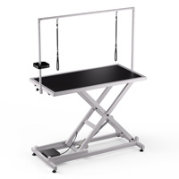 Table de toilettage pour animaux de compagnie de taille moyenne à grande, antidérapante, électrique, pneumatique, réglable en hauteur, en métal