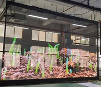 Écran mural vidéo holographique LED 3D transparent P8 avec SDK pour le shopping, la signalisation et l'éducation - Panneau flexible à grande échelle