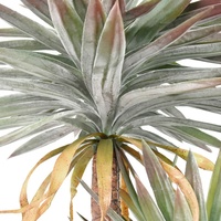 Arbre artificiel de bonsaï d'agave de haute qualité, plante artificielle de dracaena pour la décoration de la maison