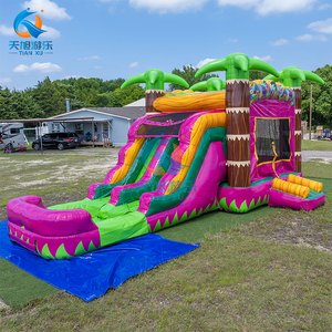 <span class=keywords><strong>2025</strong></span> desain baru pohon palem tropis warna-warni rumah goyang istana tiup dengan perosotan air kolam untuk pesta anak-anak - Product Image 1