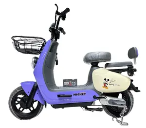 China manufactures new national standard electric small battery bicycles for men and women high-quality electric bicycles