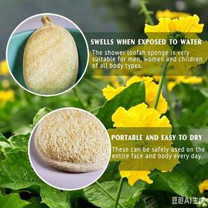 Esponja de Ducha de Luffa Natural con Logotipo Personalizado, Exfoliante Corporal, Ecológica y Biodegradable para Adultos - Product Image 4