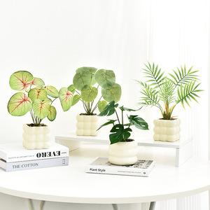 Planta Artificial de Bonsái Premium en Maceta, Decoración para el Hogar o Jardín, Perfecta con Flores Artificiales - Product Image 5