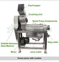 Presse-agrumes automatique à vis pour ananas, citron, orange, pamplemousse, gingembre, pomme et fruits – Machine à jus et à pulpe