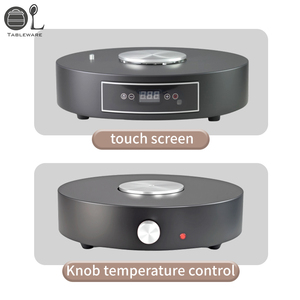 Calentador de Comida Eléctrico de Acero Inoxidable con Control de Temperatura, Diseño de Martillo de Lujo, con Tapa Transparente - Product Image 6