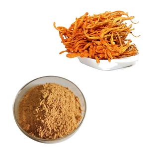Hongda Supply Cordyceps Extract 10:1 Cordyceps Militaris Extract Powder - Product Image 2