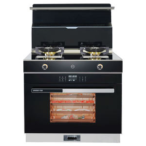 Gexiang Factory <span class=keywords><strong>Hotte</strong></span> <span class=keywords><strong>de</strong></span> cuisine Multifonctionnel 2 Brûleurs Cuisinière à <span class=keywords><strong>gaz</strong></span> Cuisinière Four intégré - Product Image 5