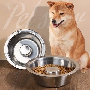 Conteneur de nourriture pour chiot en acier inoxydable de qualité supérieure, moderne, luxueux et durable, pour sevrage, argenté, à alimentation lente, solide - Product Image 2