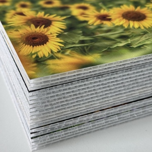 Chaîne d'approvisionnement mondiale, <span class=keywords><strong>plaque</strong></span> de feuille de <span class=keywords><strong>polypropylène</strong></span> ondulée en nid d'abeille, <span class=keywords><strong>plaque</strong></span> de feuille de <span class=keywords><strong>polypropylène</strong></span> avec service de découpe, écologique, imperméable - Product Image 2