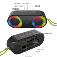 Enceinte portable BKK IP65 étanche BT 5.3 avec double haut-parleur, lumière RGB, AUX, USB, carte TF, enceinte de karaoké pour fêtes