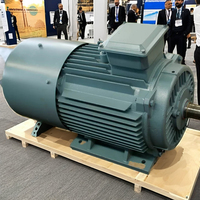 Générateur éolien hydroélectrique 400V AC 400kW 300 tr/min Étanche IP68 Aimant permanent NdFeB Enroulement 100% cuivre Rotor 5MW