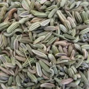 Best Price Quality Wholesale Spices Herbs Pure Natural Dried Fennel Seeds