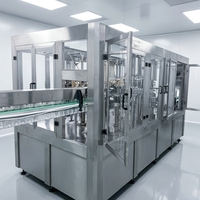 Wortelwater-extractie- en droogmachine, wortelpulpverwerkingsmachines, wortelsapinstallatie, automatisch, Qianwei merk, op maat gemaakt