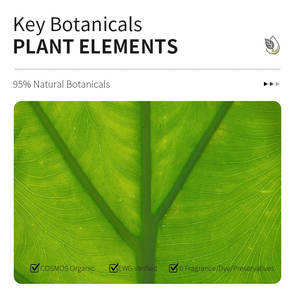 Yüksek Kaliteli Centella Tea-Trica Rahatlatıcı Ampul Yüz Serumu 100ml Sıvı Yatıştırıcı Nemlendirici Yüz Bakımı - Product Image 5