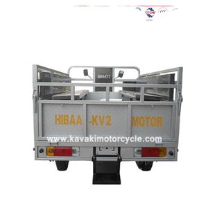 Triciclo de Gasolina Bajaj de Tres Ruedas para Adultos, Refrigerado por Agua, Buen Precio 2025 - Product Image 3