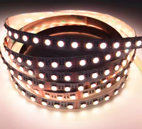 Pabrik Shenzhen RGBW LED Strip DC12V DC24V 84 LED Garansi 5 Tahun