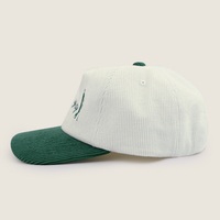Gorra de Béisbol Personalizada para Deportes al Aire Libre, con Visera Curva, Logotipo, Dos Tonos, Estilo Vintage, Sin Estructura, 5 Paneles, de Pana, para Hombre