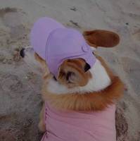 Casquette de baseball pour chien d'extérieur, chapeau de protection solaire en toile avec trous pour les oreilles et sangle réglable pour chiots et chiens de taille moyenne