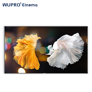 [New Frame Structure] Wupro 120 Inch Lenticular CBSP CLR <b>Projection</b> <b>Screen</b> 16:9 Soft PET Crystal Home Gallery Evo-CBSP-120" Lent - Product Image 1