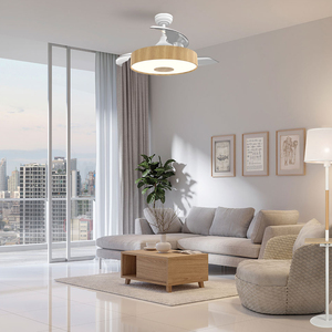 42 Inch Có Thể Thu Vào Quạt Trần 3 Vô Hình Abs Lưỡi Thông Minh Quạt Trần Điều Khiển Và Ánh Sáng Dimmer Chuyển Đổi - Product Image 2