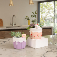 Pot de fleurs en résine en forme de chat Corgi de dessin animé, motif fromage à la crème, avec trou de drainage, idéal pour plantes succulentes, artisanat pour la maison et le jardin