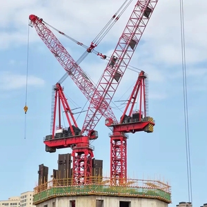 12T Luffing Cẩu Tháp D160-5030 Với 50M Bùng Nổ Chiều Dài Nhà Máy Bán Hàng Trực Tiếp Cẩu Tháp - Product Image 6
