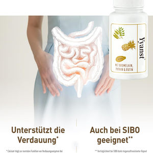 Cápsulas de Bromelina y Papaína de Alta Calidad para la Salud Intestinal y Promoción Digestiva - Product Image 5