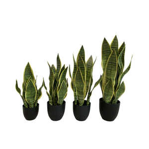 نباتات اصطناعية نبات ثعبان مع خضرة سوداء مزيفة نباتات اصطناعية fagave مثالية في وعاء - Product Image 3