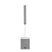 Altavoz profesional de líneas de escenario, columna de altavoz DSP activo con diente azul, USB, FM, función de grabación