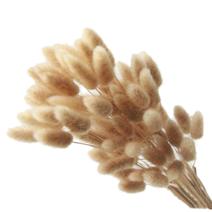 Colas de Conejo Secas, Flores Decorativas Naturales y Esponjosas para Arreglos del Hogar - Product Image 1