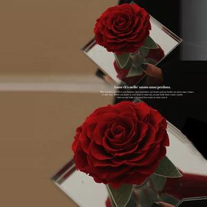 Vendita calda regalo acrilico scatola stabilizzata rosa lunga durata conservato secchi per sempre Rose eterne in cupola - Product Image 2