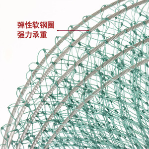 Cesta de pesca de acero inoxidable con anillos múltiples, plegable, con hilo de goma verde, red de pesca de agua dulce, equipo de pesca de fondo - Product Image 1