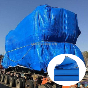 Bâche en plastique durable, protégée contre les UV, imperméable, <span class=keywords><strong>pour</strong></span> l'agriculture, les serres et le stockage d'équipements extérieurs - Product Image 4