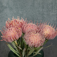 Fleur artificielle réaliste Leucospermum Protea, tige florale tropicale pour bouquet DIY, décoration de mariage et de vase d'intérieur