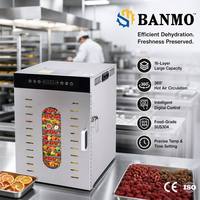 BANMO Professionele 16-laags Commerciële Voedseldehydrator Machine RVS Fruit Vlees Groente Droogapparatuur Station