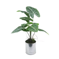 Tizen fausse Simulation plante verte olivier artificiel herbe en pot petites plantes avec Potsl plante d'eucalyptus d'intérieur en Pot